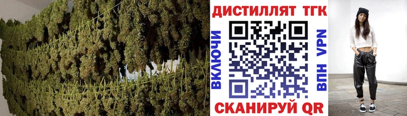 где продают наркотики  Купино  ТГК Wax 