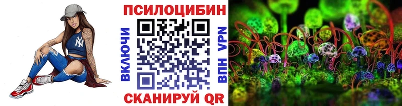 где продают наркотики  Купино  ОМГ ОМГ маркетплейс  сайты даркнета какой сайт  Псилоцибиновые грибы мухоморы 